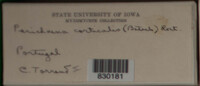 Image Associated With the Occurence
